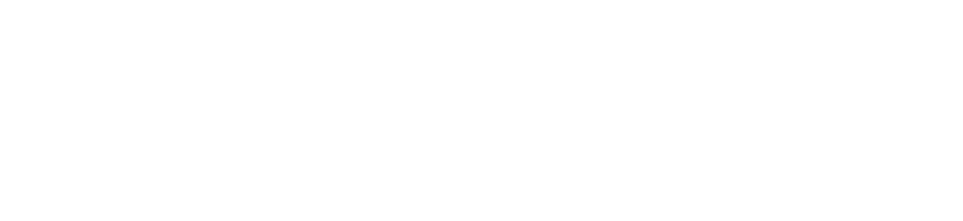 Care Connect SA Workforce