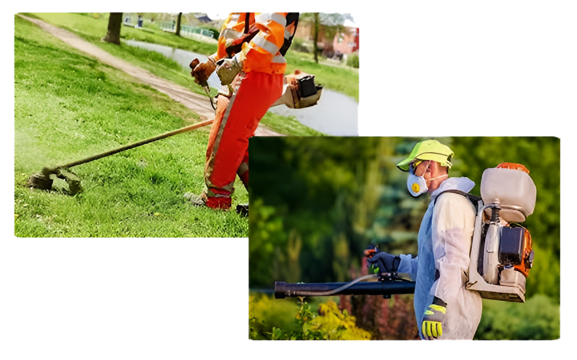 Gardening & Maintenance Services
